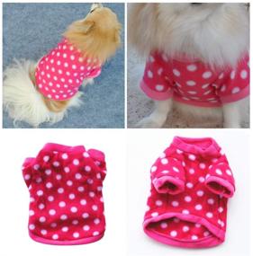 img 2 attached to 🐾 Set of 3 Winter Warm Fleece Sweaters for Small Female Dog Chihuahua Yorkies, Cute Puppy Clothes, Pet Shirt