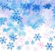 locolo christmas snowflake confetti decoration logo