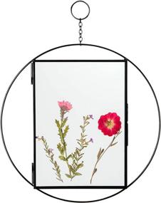 img 4 attached to Pressed Flower Frames - Rainbows & Lilies, Glass Floating Frame for Dried Flowers Artwork Photos, Hanging Picture Frames 5x7 Double Glass Frame - Display Dried Flowers, Photos, Artwork (Black)