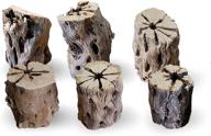 🌵 cholla wood for air plants: whimsical hobo chic planters, book dividers, paper weights & more | 6-pack logo