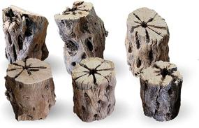 img 3 attached to 🌵 Cholla Wood for Air Plants: Whimsical Hobo Chic Planters, Book Dividers, Paper Weights & More | 6-Pack