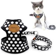 ranphy small adjustable harness kitten logo