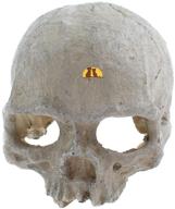 emours reptile hideout skull: enhance your vivarium or aquarium with a small resin ornament cave decoration логотип