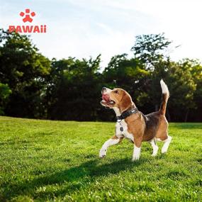img 3 attached to 🐾 Pawaii Reflective Personalized Dog Collar with Pet ID Tag: Adjustable Size for Small, Medium, Large Dogs - Enhance Pet Safety!