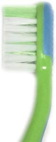 img 1 attached to Childrens Toddler Bristle Toothbrush Suction Oral Care