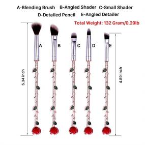 img 3 attached to Rose Eye Makeup Brush Set - 5pcs Wand Makeup Brushes: Soft Synthetic Fiber, Metallic Handle for Eyebrow, Eyeshadow, Foundation, Blending and Lips. Ideal Gift for Sister or Girlfriend - Rose Gold