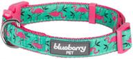 🐶 discover the vibrant variety of blueberry pet's forest fun dog collars logo