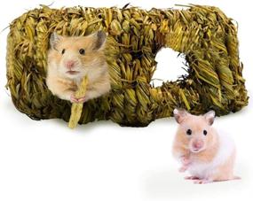 img 4 attached to 🐇 SunGrow Handwoven Seagrass Tunnel Toy for Small Animals - 4” x 7.5”, Activity Center (1 pc per Pack)