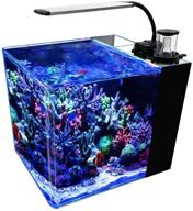🐠 gankpike 8-gallon curved corner glass saltwater aquarium: complete marine fish tank with lid, protein skimmer, led light, heater, thermometer, and pump logo