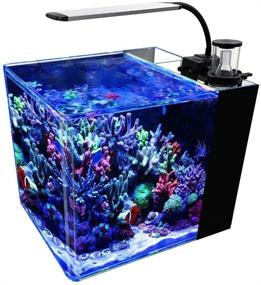 img 4 attached to 🐠 GankPike 8-Gallon Curved Corner Glass Saltwater Aquarium: Complete Marine Fish Tank with Lid, Protein Skimmer, LED Light, Heater, Thermometer, and Pump