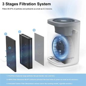 img 4 attached to 🌬️ Powerful HEPA Air Purifiers - Eliminate 99.97% of Odor, Dust, Pet Hair, and Smoke in Large Rooms at Home