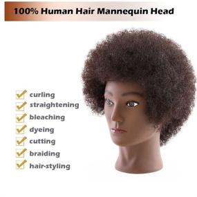 img 3 attached to 🏿 Dannuo Afro Mannequin Head: Authentic Human Hair Training Doll for Styling, Braiding & Cosmetology Practice - Male