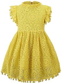 img 4 attached to 👗 Cute Pompoms Lace Floral Swing Party Dress for Toddler Girls - Retro & Elegant Design