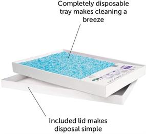 img 3 attached to 🐱 ScoopFree Litter Tray Refills featuring Premium Blue Crystal Technology