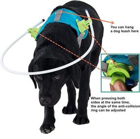 img 2 attached to 🐶 Enhance Blind Pet Mobility with the M Blue Blind Dog Harness & Face Protection Set