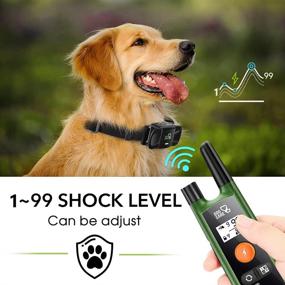 img 2 attached to 🐶 Rechargeable Dog Training Collar with Remote - Beep, Vibration, and Shock Modes, Rainproof & Adjustable Shock Levels- Long Range for Small, Medium, and Large Dogs