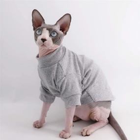 img 1 attached to 👕 Sphynx Hairless Cat Cotton T-Shirts: Stylish Pet Clothes for Cats and Small Dogs