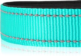 img 1 attached to 🐾 Joytale Reflective Dog Collar: 12 Vibrant Colors, Soft Neoprene Padding, Adjustable Sizes for Small to Extra Large Dogs