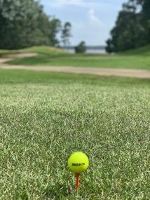 img 2 attached to 🔥 DEEZ NUTS HOT BANANABALLZ Matte Yellow Ball Review: Explosive Distance, Low Spin, and Perfect Alignment