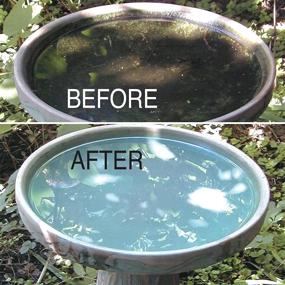 img 1 attached to 🐦 Birdbath Protector: Premium Birdbath Cleaner that Effectively Prevents Stains and Mineral Buildup. Proven All-Natural Enzymes Maintain a Pristine Appearance, Keeping Your Birdbaths Looking Brand New and Safe for Birds. Convenient 4oz Size.