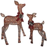 🦌 enchanting pre-lit glittering brown light up doe and fawn deer santa reindeer: perfect lawn yard holiday christmas decoration 2-piece set logo