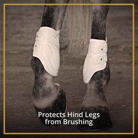 img 1 attached to 🐎 Pro-K 3D Air Mesh Horse Ankle Boots: Kavallerie Fetlock Boots with Impact Resistance and Breathable Soft Padding - Ideal for Horse Jumping & Training