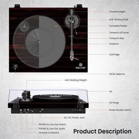 img 1 attached to 🎵 ANGELS HORN Виниловый проигрыватель: Со встроенным фонокорректором и регулируемым противовесом - Махагон, Привод поясного типа, 2 скорости