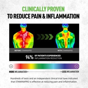 img 3 attached to 🤸 12 Пластырей для активного восстановления STAMINAPRO: облегчение мышечной боли, напряжения, усталости и стянутости