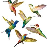 🐦 pack of 6 large anti-collision hummingbird window clings, non-adhesive vinyl decals to prevent bird strikes on glass, window clings with vibrant hummingbird stickers logo