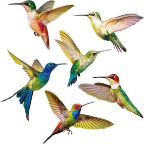 img 4 attached to 🐦 Pack of 6 Large Anti-Collision Hummingbird Window Clings, Non-Adhesive Vinyl Decals to Prevent Bird Strikes on Glass, Window Clings with Vibrant Hummingbird Stickers
