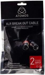 img 2 attached to 🔌 Шогун монитор/рекордер: аудио-входной кабель LEMO-3-Pin XLR разветвитель на два 3-контактных XLR