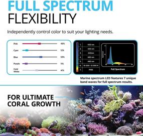 img 3 attached to Enhanced Coral Growth: Fluval Sea Marine 🌱 3.0 LED Aquarium Lighting, 32 Watts, 24-34 Inches