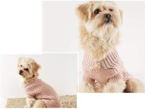 img 3 attached to 🐾 Cozy and Stylish: yunqi Classic Cable Knit Pet Dog Cat Sweater for Small Dogs - Perfect Winter & Spring Attire