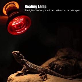 img 1 attached to 🦎 DGE Reptile Basking Spot Bulb, 100W Infrared Heat Lamp for Bearded Dragon - Red Light Bulbs for Reptiles and Amphibians (2 Pack)