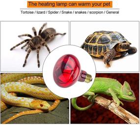 img 2 attached to 🦎 DGE Reptile Basking Spot Bulb, 100W Infrared Heat Lamp for Bearded Dragon - Red Light Bulbs for Reptiles and Amphibians (2 Pack)