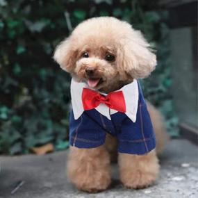 img 3 attached to 🐶 THREEDOG Dog Tuxedo Suit: Red Fashion Dress for Wedding Party, with Bow Tie - Navy Blue, Size M