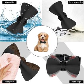 img 2 attached to 🐶 Winsee Airtag Case for Dog Collar 2 Pack - Stylish Bowtie Pet Airtag Holder for Apple GPS Tracker - Soft Silicone Airtag Cover for Cats, Puppies, and Dogs of all Sizes