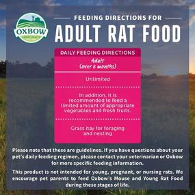 img 1 attached to Natural Oxbow Essentials Adult Rat Food - Premium Rat Food for Adult Rats
