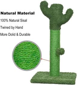 img 2 attached to 🌵 22-Inch Kazura Tall Cat Scratching Post: Green Cactus Design with Colored Natural Sisal Rope and Balls for Kittens - Enhance Your SEO!