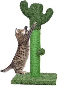 img 4 attached to 🌵 22-Inch Kazura Tall Cat Scratching Post: Green Cactus Design with Colored Natural Sisal Rope and Balls for Kittens - Enhance Your SEO!