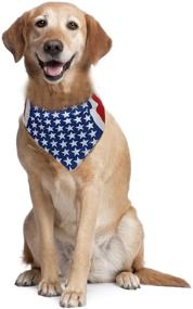 img 3 attached to 🐶 Show Off Your Dog's Patriotism with the City Costume Wigs American Flag Dog Bandana - Perfect for Small, Medium, and Large Breeds!