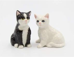 img 1 attached to Adorable Cosmos Gifts 20759 Black-White Cat Salt and Pepper Shaker - 3-1/2 Inches High - Perfect Kitchen Accessory!