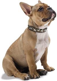 img 2 attached to Hunter HT60447 Arizona Leather Collar