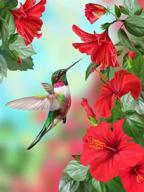 beginner painting hummingbird collecting hummingbirds painting, drawing & art supplies logo