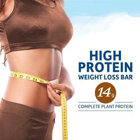 img 2 attached to 🌱 Garden of Life Organic Fit Bar - Peanut Butter Chocolate: High Protein Bars for Weight Loss - Burn Fat, Satisfy Hunger, and Fight Cravings - Low Sugar Plant Protein Bar with Fiber (12 per carton)