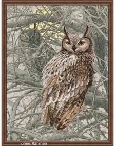 img 1 attached to 🦉 RIOLIS 0038 PT - Eagle Owl - Cross Stitch Kit 11¾&#34; x 15¾&#34; Zweigart 14ct. AIDA with Pre-Printed Background, 12 Colors