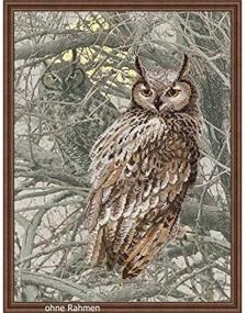 img 2 attached to 🦉 RIOLIS 0038 PT - Eagle Owl - Cross Stitch Kit 11¾&#34; x 15¾&#34; Zweigart 14ct. AIDA with Pre-Printed Background, 12 Colors