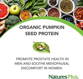 img 2 attached to 🎃 Organic Pumpkin Seed Protein - High Energy Vegan Protein Powder - Promotes Prostate Health, Soothes Menstrual Discomfort - Vegetarian, Gluten-Free Supplement