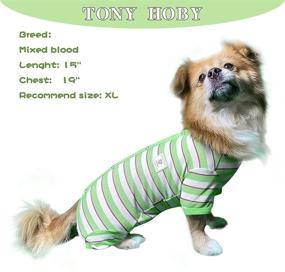 img 2 attached to 🐶 TONY HOBY Dog Stripe Pajama: Stylish Green & White Knit Clothes for Small-Medium Dogs - Perfect for Spring & Summer!