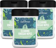 🌿 compact and convenient: aunt fannie's 25 count travel size vinegar cleaning wipes (eucalyptus, 3-pack) logo